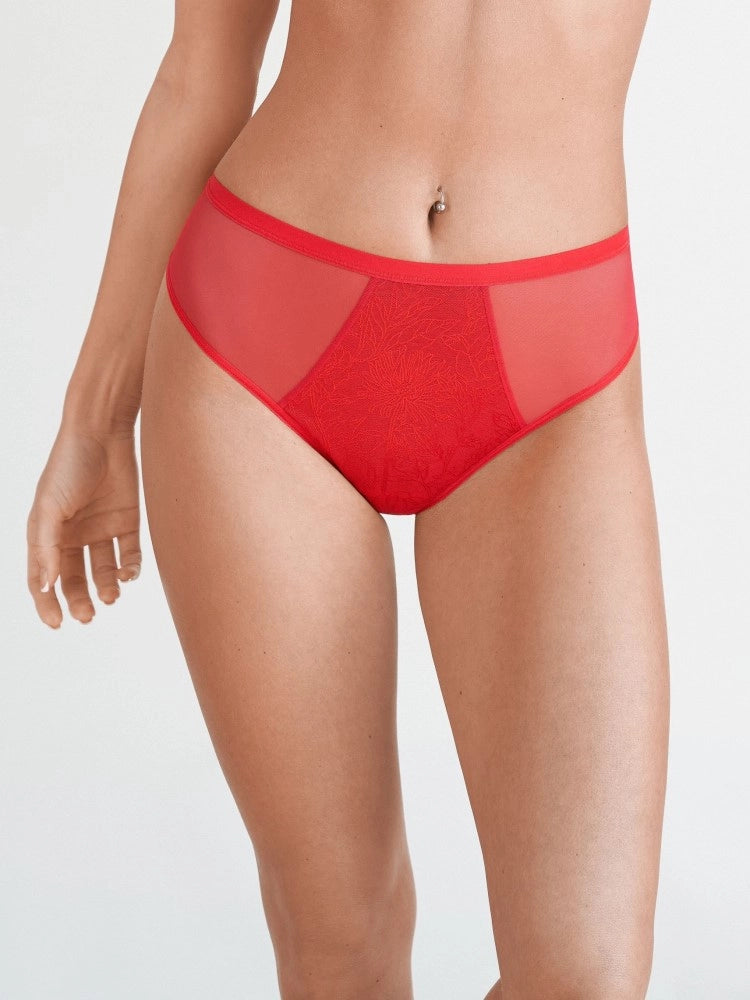 3184 Eurobra Elegant Lace Brazilian String Briefs